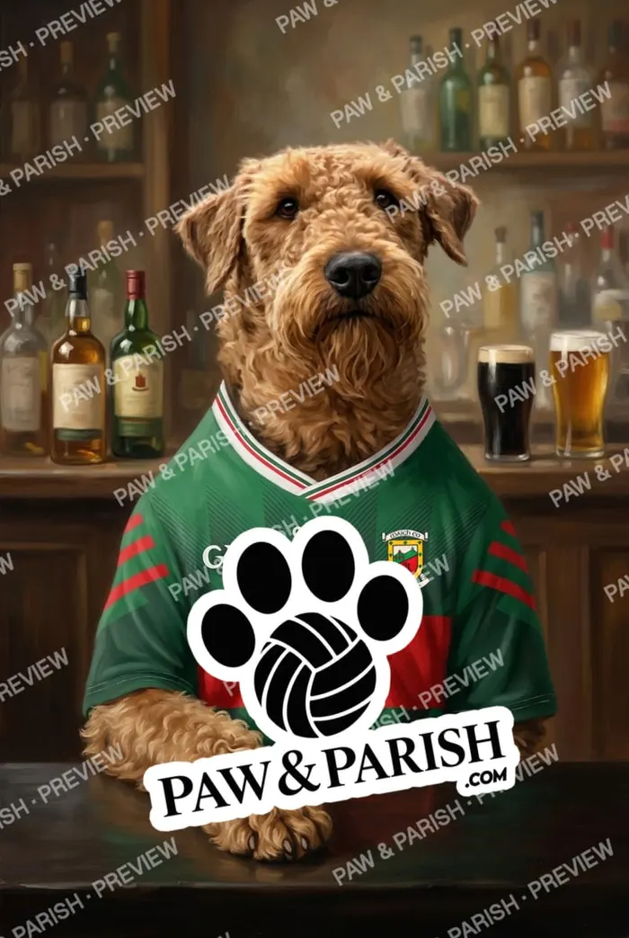 Mayo GAA